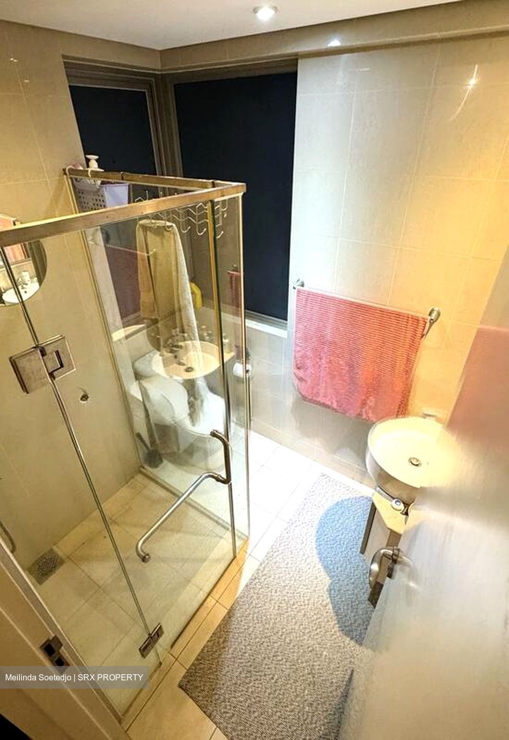 Novena Suites (D11), Apartment #516837441
